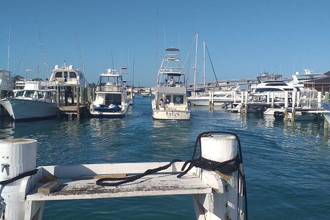 4 Hour Private Fishing Charter in Nassau - An In-Depth Look at the Nassau Fishing Experience