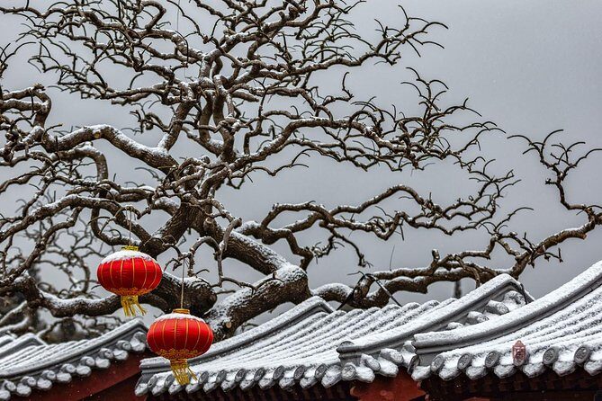 4-Hour Private Forbidden City Walking Tour with Bird's ViewOption - A Deep Dive into the Forbidden City Tour Experience