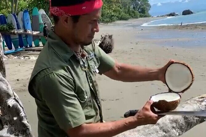 4 Hour Private Guided Tour in Osa Jungle - Exploring the Osa Jungle in Depth