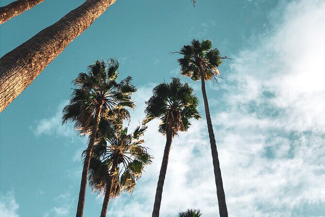 4-Hour Private Haunted Hollywood Tour - Exploring the Haunted Side of Los Angeles