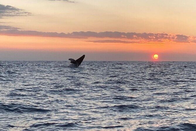 4 Hour Private Sunset Fishing Charter - FAQ: Your Practical Questions Answered