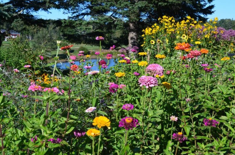 4 Hour Private Tour: Acadia, Fjord, Gardens & Mansions - Final Thoughts