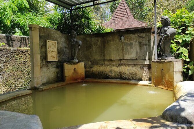 4-Hour Private Tour in Jatiluwih Terraces and Butterfly Park - Who Will Love This Tour?