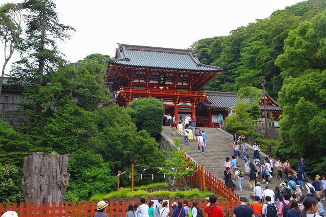 4-hour Private Tour of Kamakura with Government-Licensed Guide - Who Would Love This Tour?
