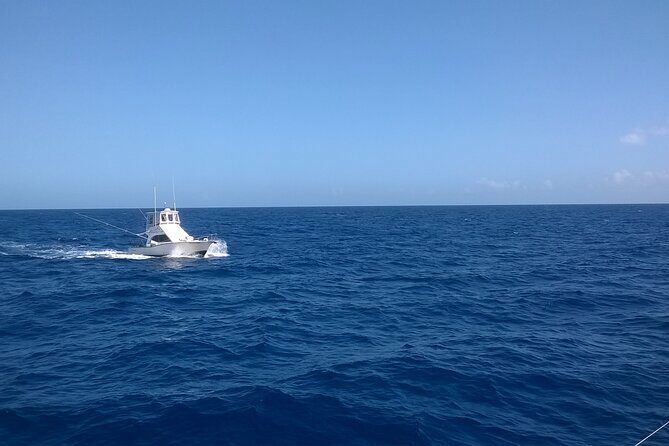 4 Hour Punta Cana Fishing Tour - Who is This Tour Best For?