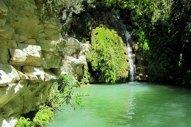 4 hour Quad & Buggy Safari Akamas(lara Bay) & Adonis Falls - Detailed Breakdown of the Itinerary