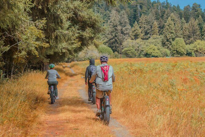4 Hour Redwood National and State Park E Bike Adventure - Key Points