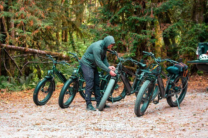 4 Hour Redwood National and State Park E Bike Adventure - An In-Depth Look at the Redwood E-Bike Experience