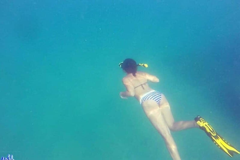 *4-Hour Roqueta Island Snorkeling, out of the Bay Experience - Who Would Love This Tour?