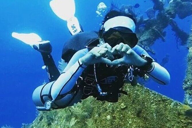 4 Hour Scuba Diving Course in Tayrona Park - Key Points