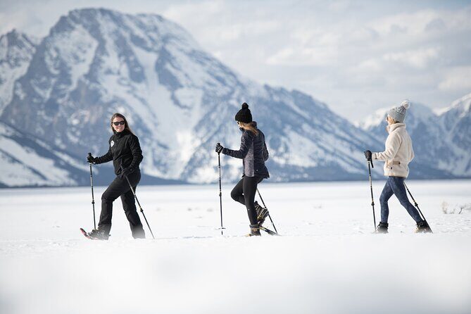 4 hour Snowshoe in Grand Teton National Park - Experience the Quiet Majesty of Grand Teton on a 4-Hour Snowshoe Tour