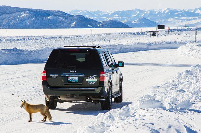 4 hour Snowshoe in Grand Teton National Park - Authentic Experiences from Real Travelers