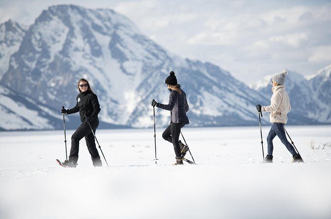 4 hour Snowshoe in Grand Teton National Park - Who Should Consider This Tour?
