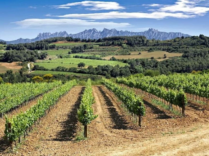 4-Hour Supercar Route to a Catalan Winery from Barcelona - Final Thoughts: Is This Tour Right for You?
