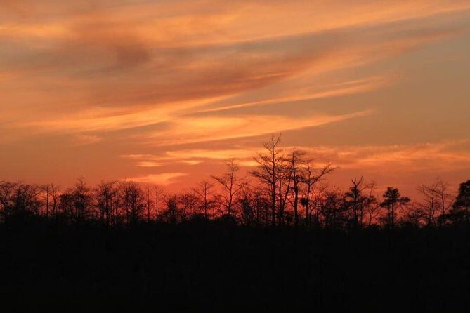 4-Hour Swamp Buggy Adventure Tour in Florida - Final Thoughts