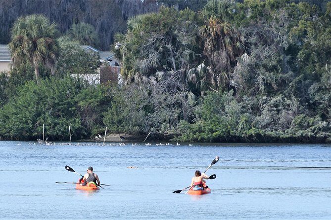4 Hour Tandem Kayak Rental For Two People In Crystal River, Florida - A Closer Look at the Crystal River Kayak Experience
