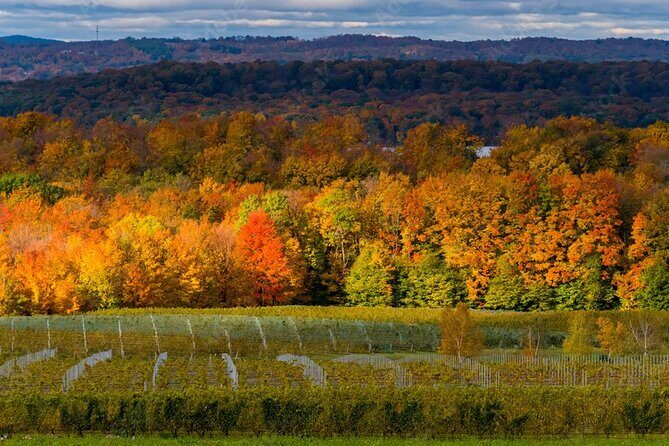 4-Hour Traverse City Sunset Wine Tour: 3 Wineries on Old Mission Peninsula - Key Points