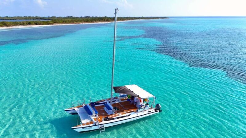 4 Hour Turtle Sanctuary Experience on a Luxury Catamarán - Key Points