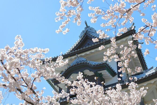 4 Hour Unique Kanazawa Cherry Blossom Sakura Private Experience - Experience the Charm of Kanazawa’s Cherry Blossom Season in Just 4 Hours