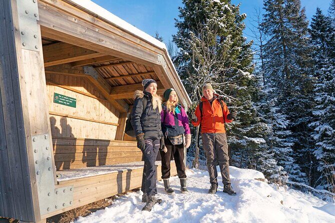 4 hours Best View of the Oslofjord Winter Edition - Who Should Consider This Tour?