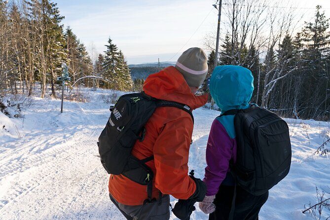 4 hours Best View of the Oslofjord Winter Edition - The Sum Up