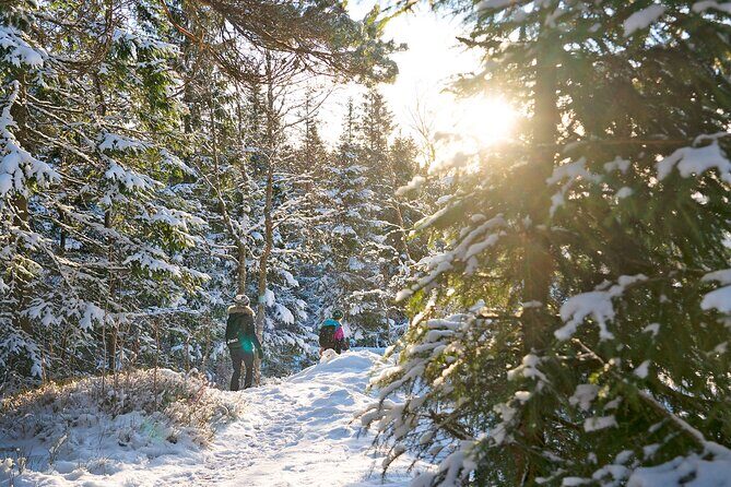 4 hours Best View of the Oslofjord Winter Edition - Frequently Asked Questions
