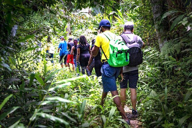 4-Hours Bike, Hike & Waterfall Tour in Blue Mountain with Lunch and Pick Up - An Authentic 4-Hour Adventure in Jamaica’s Blue Mountains