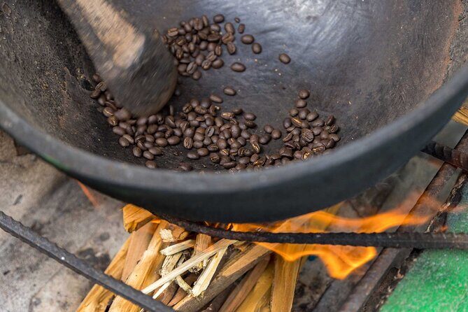 4-Hours Bike, Hike & Waterfall Tour in Blue Mountain with Lunch and Pick Up - Key Points