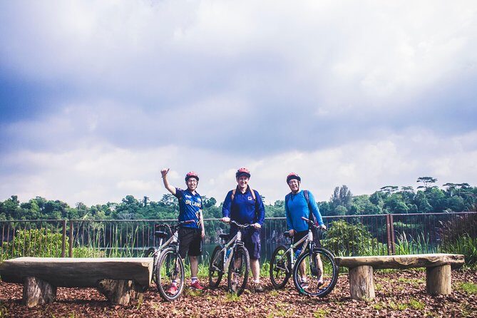 4 Hours Cycling in the Nature at Pulau Ubin Singapore - Key Points