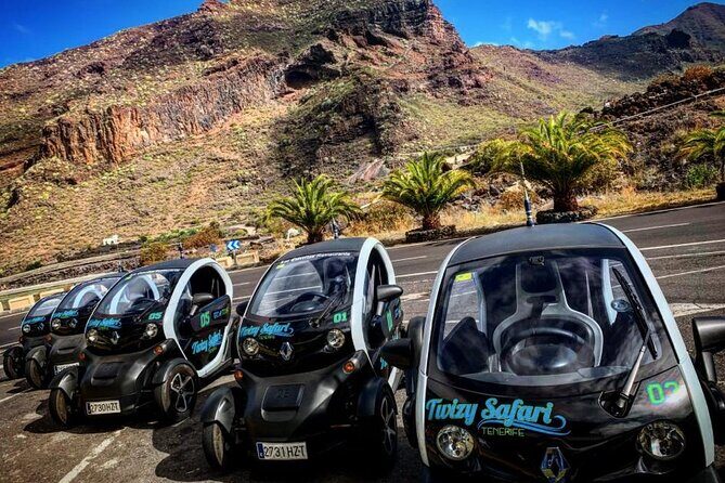 4 Hours Eco Safari Tour with Electric Car in Tenerife - Exploring Tenerife in a Tiny Electric Car: The 4-Hour Eco Safari