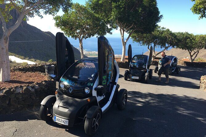 4 Hours Eco Safari Tour with Electric Car in Tenerife - The Experience: What Travelers Say