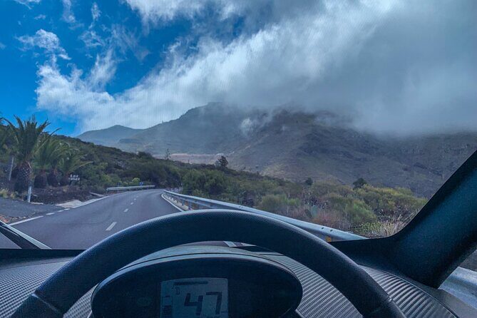 4 Hours Eco Safari Tour with Electric Car in Tenerife - Practical Considerations: What You Need to Know