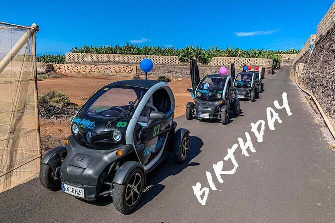 4 Hours Eco Safari Tour with Electric Car in Tenerife - Who Will Love This Tour?