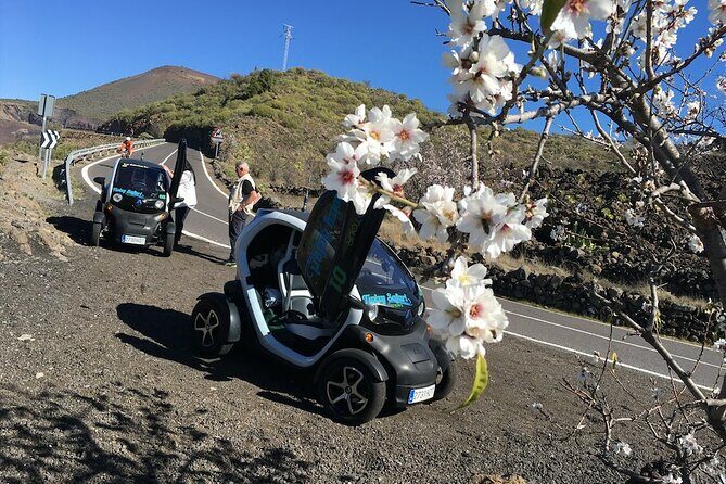 4 Hours Eco Safari Tour with Electric Car in Tenerife - FAQ