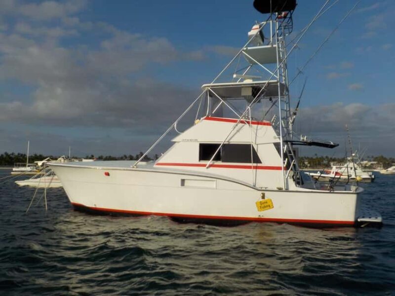4 hours of deep sea fishing from Bavaro Punta Cana - A Deep Dive into Punta Cana’s Deep Sea Fishing Tour