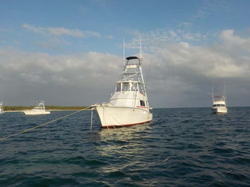 4 hours of deep sea fishing from Bavaro Punta Cana - Key Points