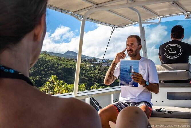 4 Hours of Humpback Whale Watching in Tahiti - Frequently Asked Questions