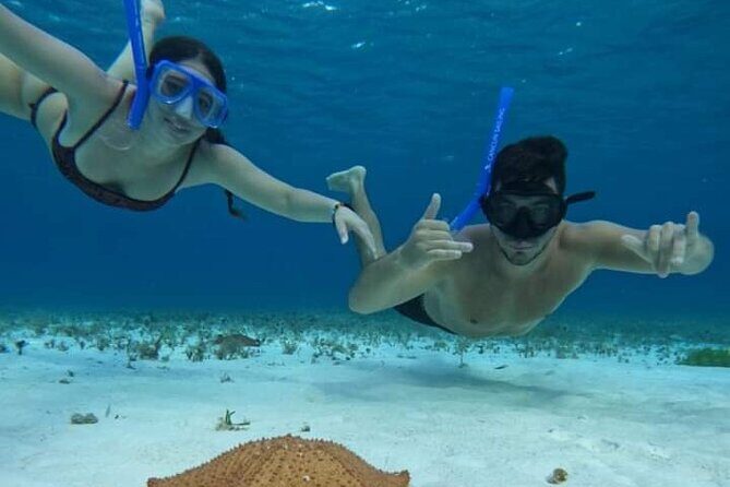 4 hours of shared snorkeling to El Cielo - Who Is This Tour Best For?