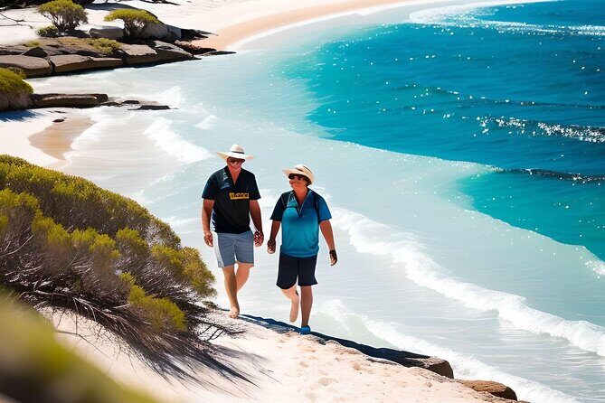 4 Hours Perth City Highlights with Private Chauffeured Tour - Why This Tour Offers Great Value