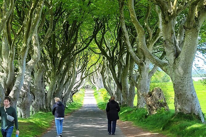 4 Hours Private Belfast City Tours - Pricing and Value Assessment