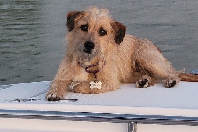 4 hours Private Eco Boat Tour Wildlife and Nature around islands - Practical Details and Tips