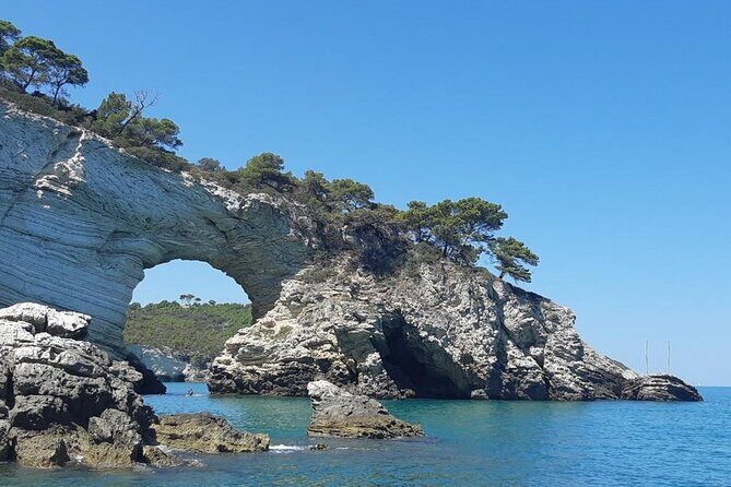 4 Hours Private Guided Boat Tour in Vieste - Final Thoughts: Why Choose This Experience?