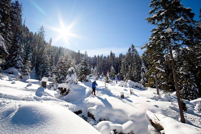 4 hours skitour trip in Tatra Mountains for beginners with renting equipment - A Closer Look at the 4-Hour Tatra Ski Tour