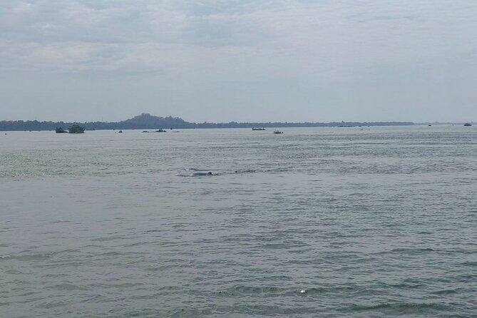 4 hours taking tuk tuk to see Mekong dolphins and countryside - Key Points