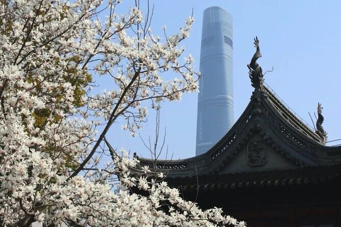 4-Hr Shanghai Layover Tour: Maglev, Wet Market, Food, Landmarks - Who Will Love This Tour?