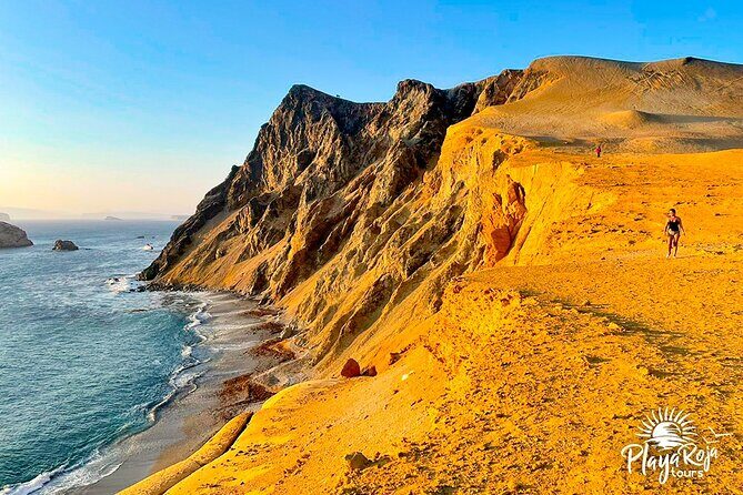 4 Hrs GOLDEN SHADOWS TREK in Paracas National Reserve - What We Loved Most
