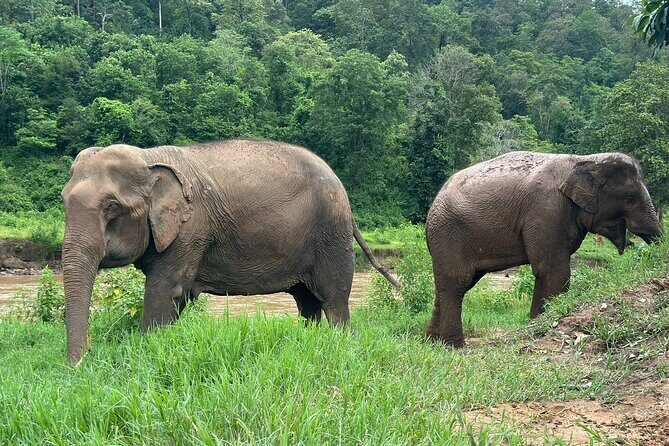 4 in 1 Elephants Long Neck Rafting and Sticky Waterfall Tour - The Itinerary in Detail