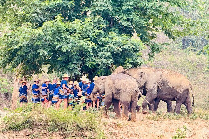 4 in 1 Elephants Long Neck Rafting and Sticky Waterfall Tour - Final Thoughts