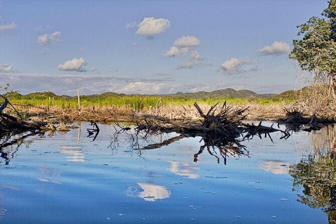 4 in 1 Tour - Mazunte, Cacao Factory, La Ventanilla National Park & Turtle Spawn - An All-in-One Day Exploring Oaxaca’s Coastal Wonders and Culture