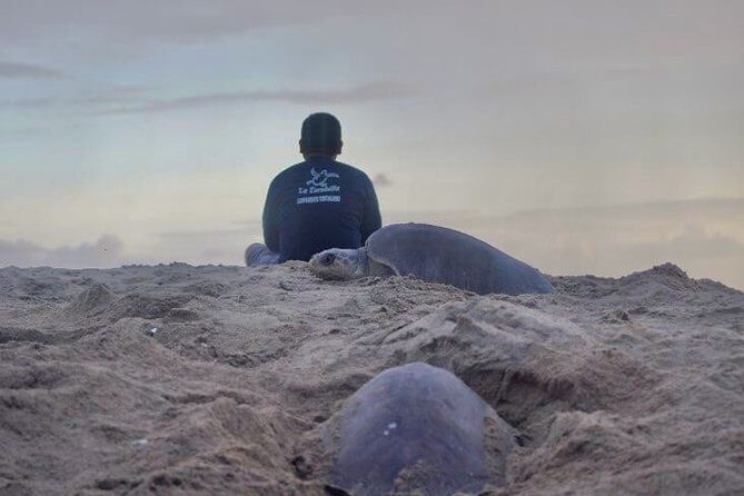 4 in 1 Tour - Mazunte, Cacao Factory, La Ventanilla National Park & Turtle Spawn - Key Points